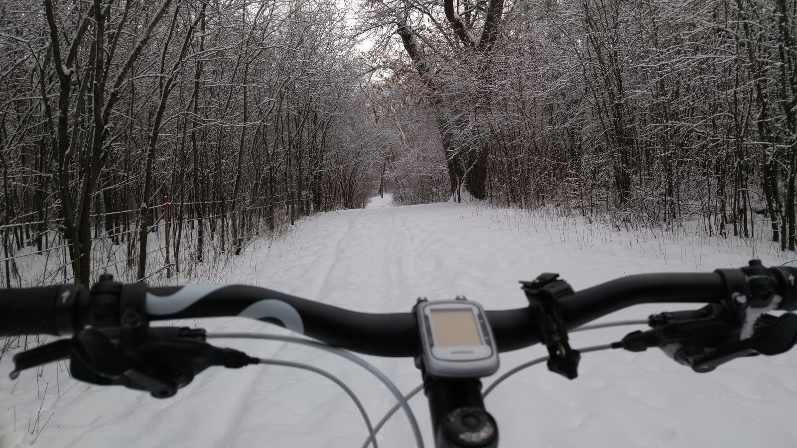 Fat bike rider navigating snowy trail through winter forest